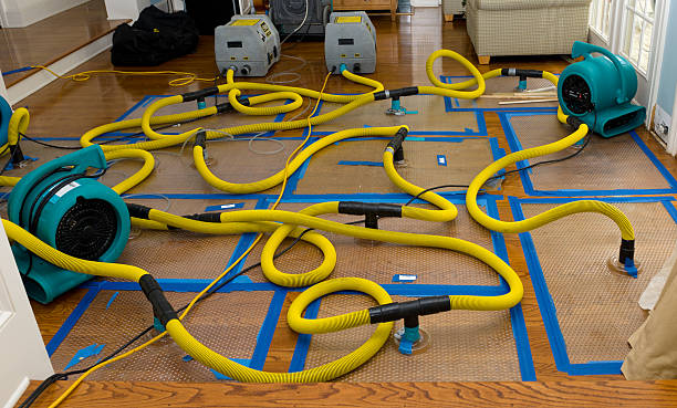 Professional Structural Drying And Dehumidification technician working in Gardner, IL
